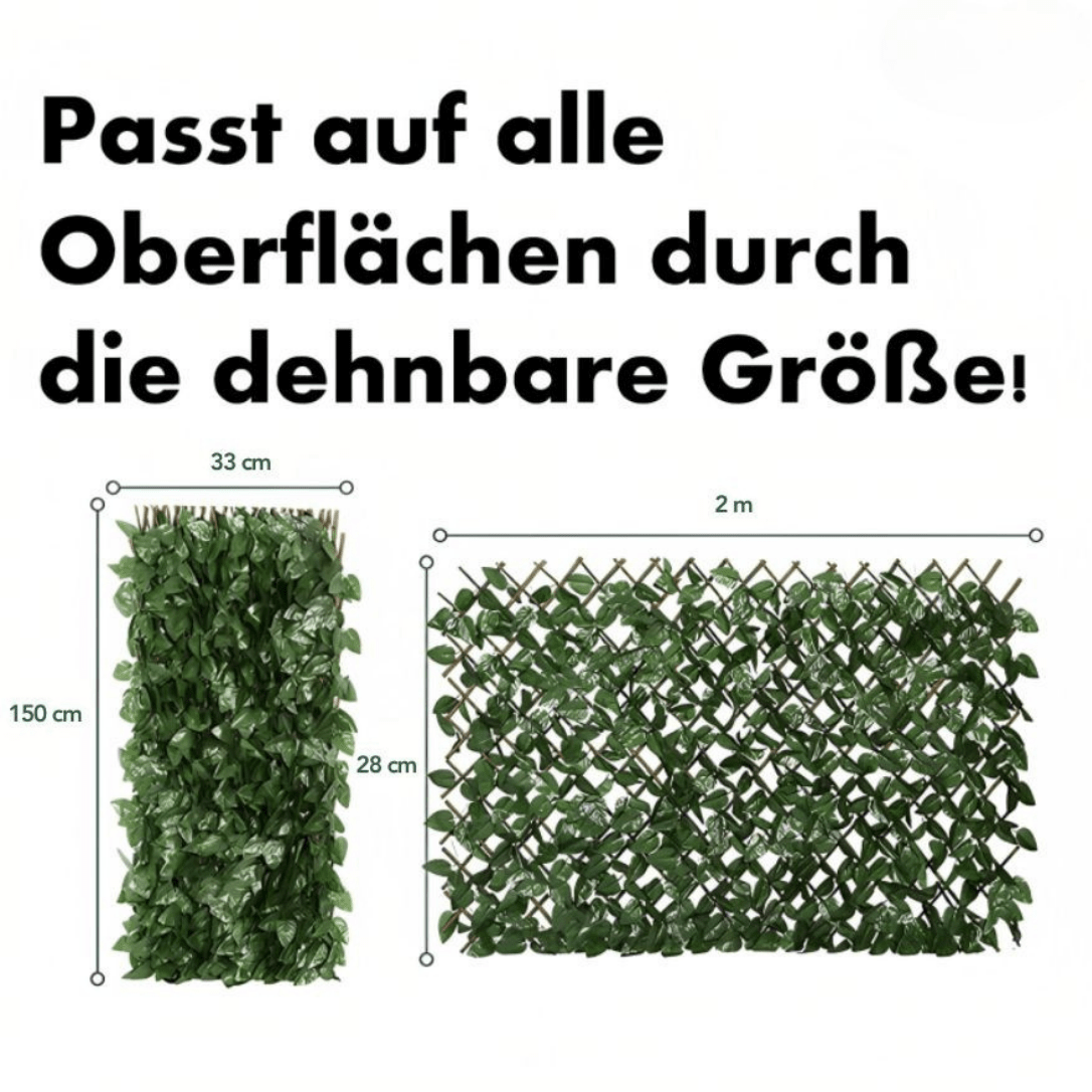 1 + 1 GRATIS | GreenHaven TEMPORÄR | Gardenscape – Privatsphäre in Ihrem Garten - Sopheria