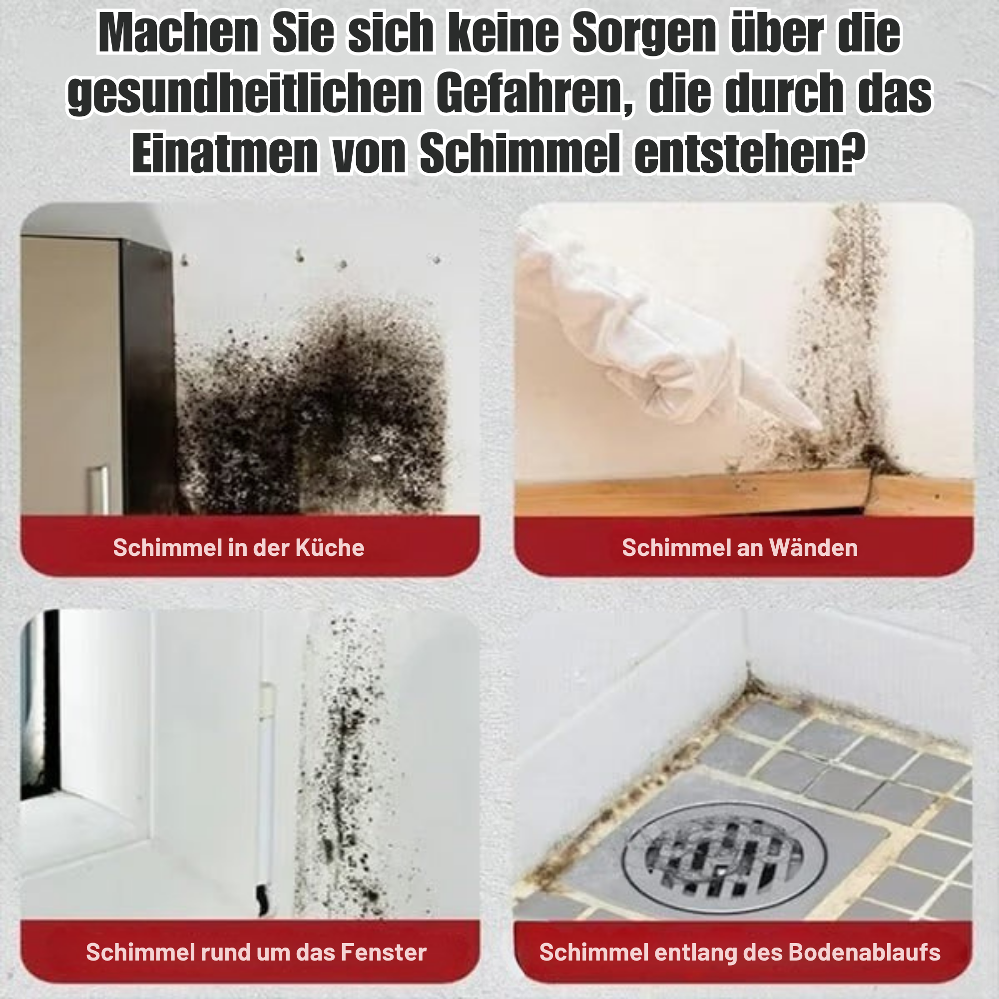 SchimmShield™ / Leistungsstarker Schimmelreinigungsschaum