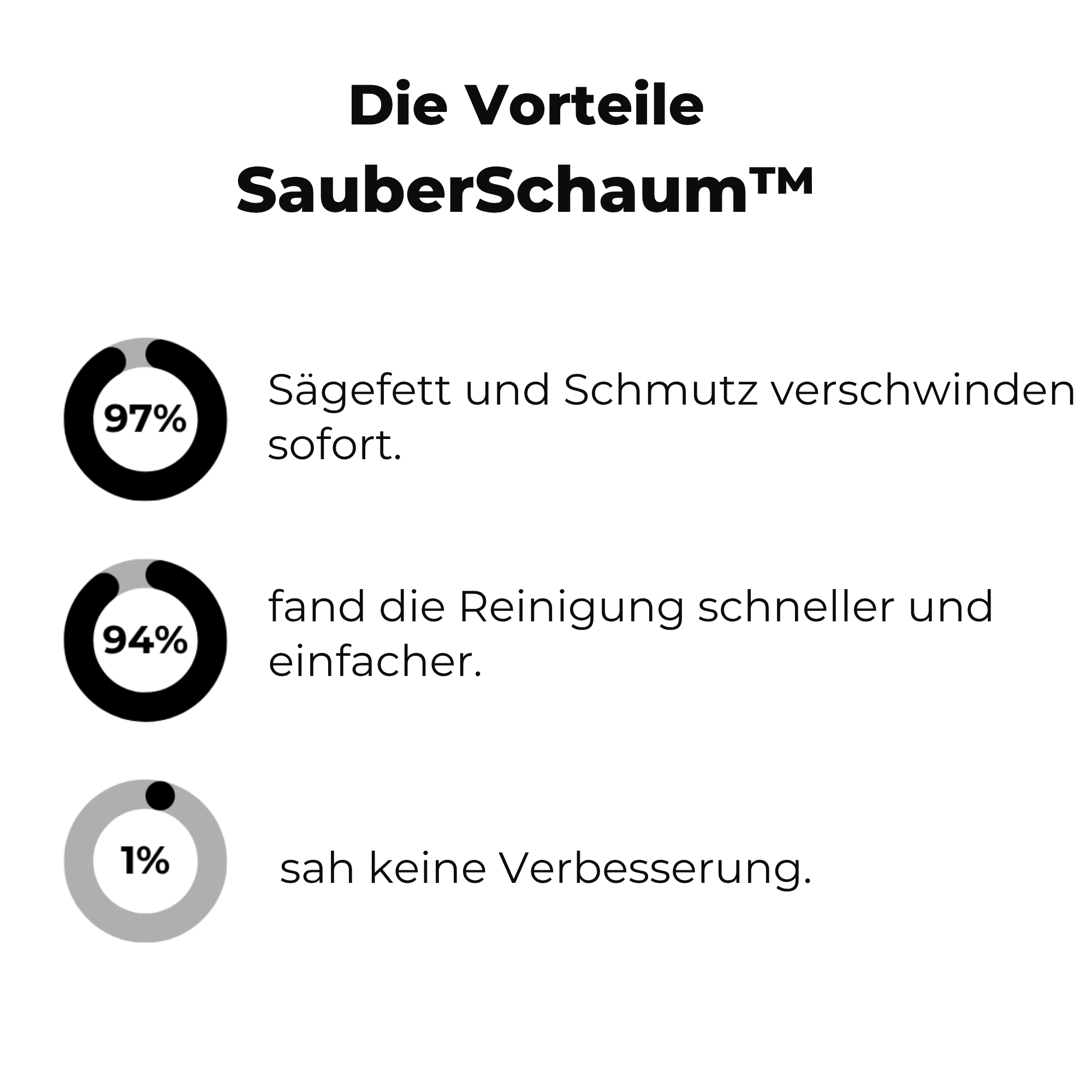 SauberSchaum™ / Magischer Reinigungsschaum (1+1 GRATIS)