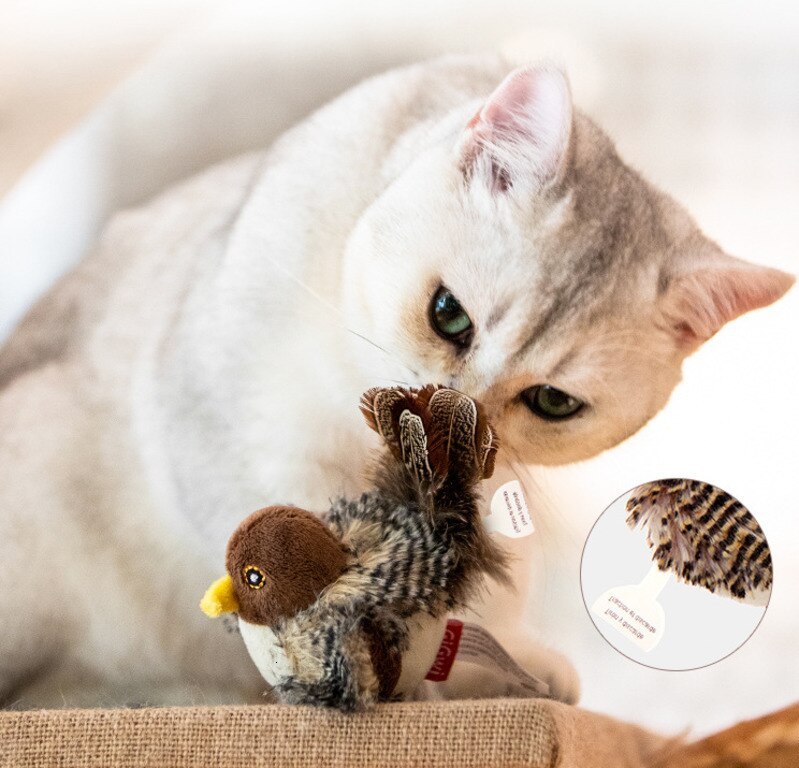 Stimulieren Sie den natürlichen Instinkt Ihrer Katze