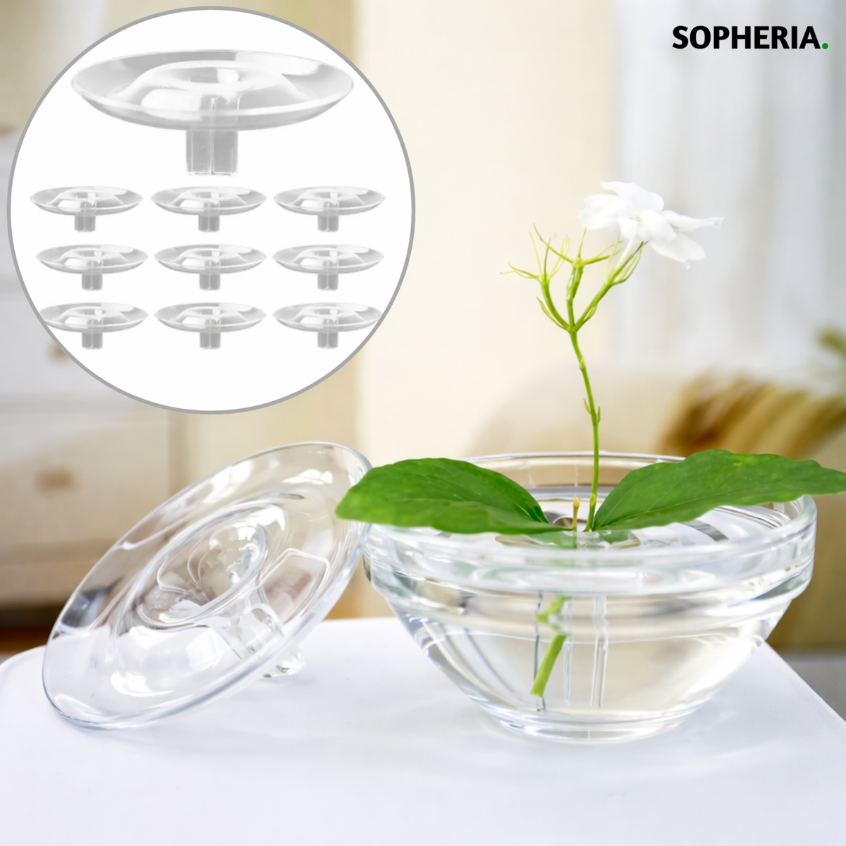 5+5 GRATIS | Hält Blumen sofort perfekt aufrecht und eindrucksvoll – UrbanBliss