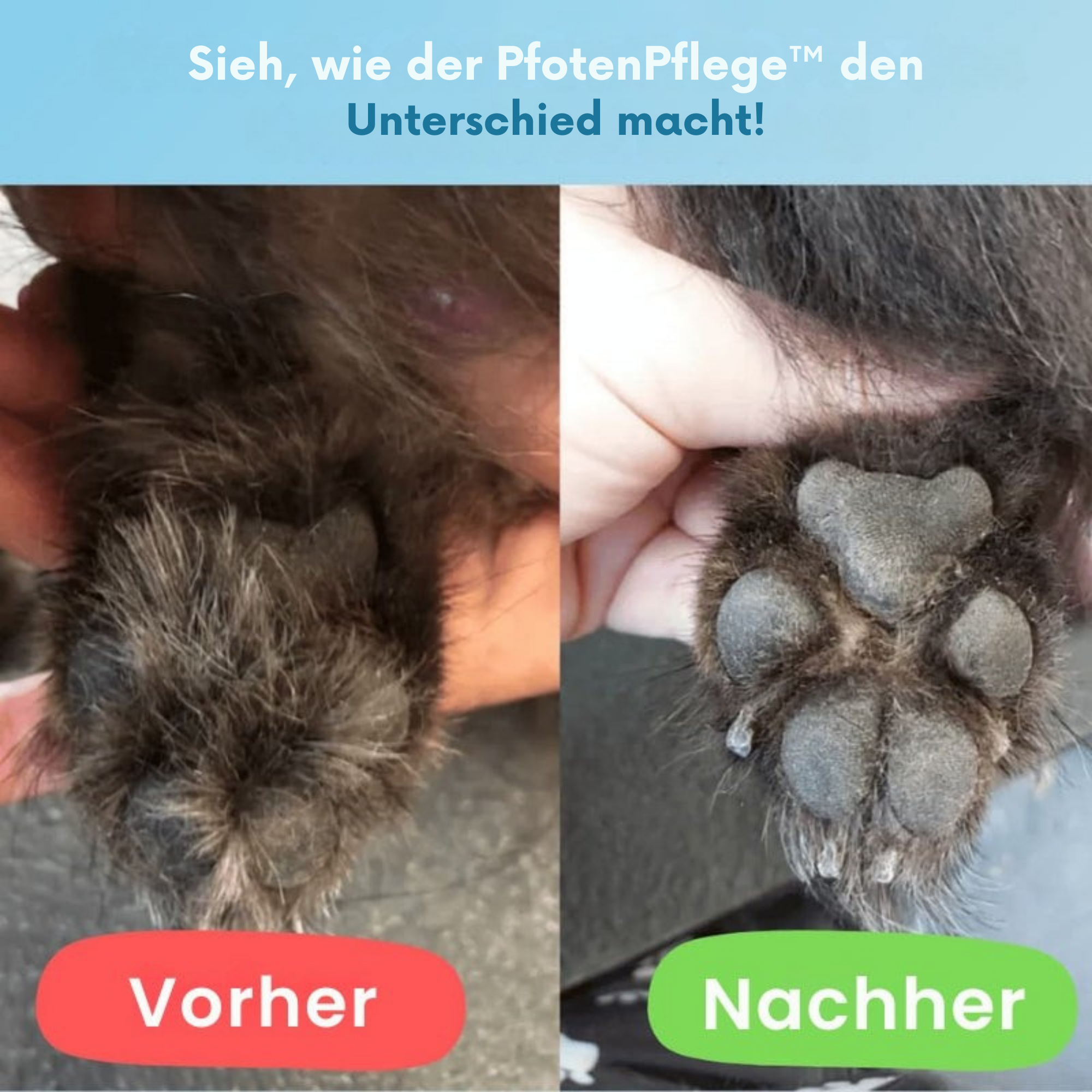 PfotenPflege™ / Schmerzfreie Pfotenpflege in Sekundenschnelle