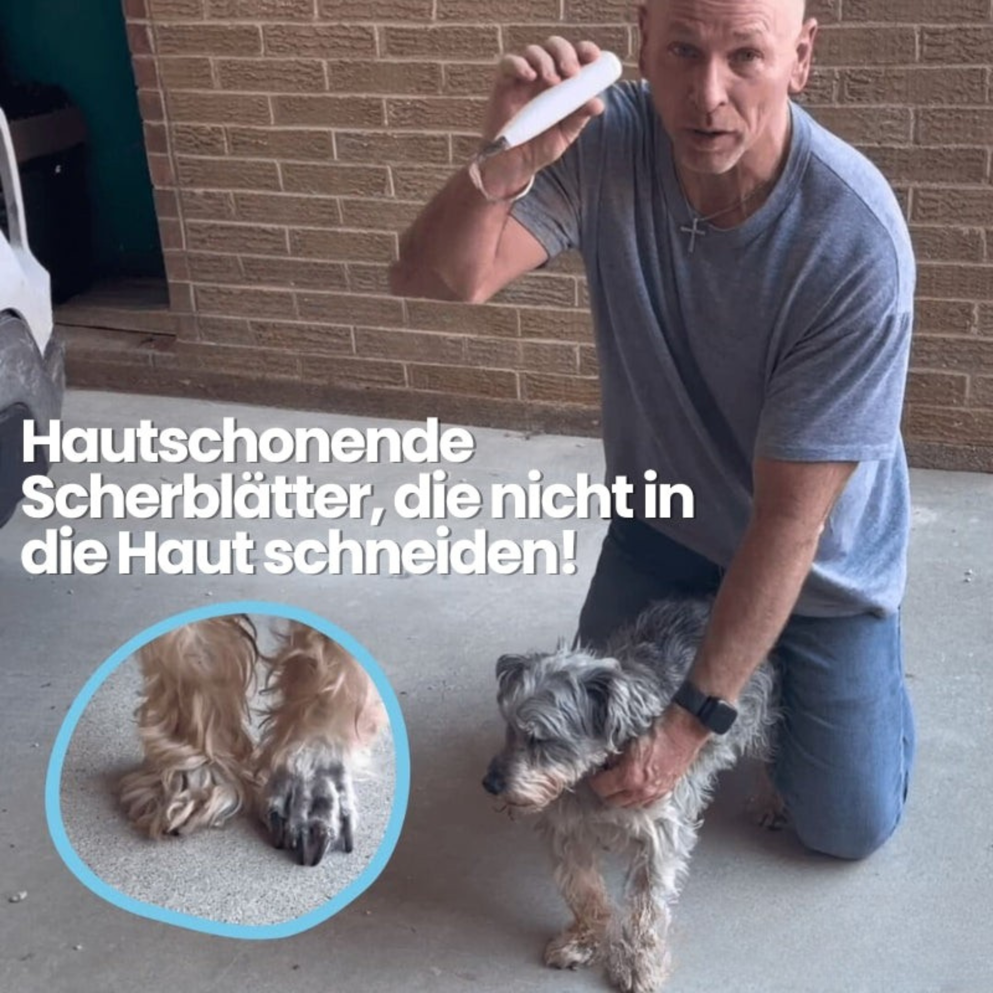 PfotenPflege™ / Schmerzfreie Pfotenpflege in Sekundenschnelle