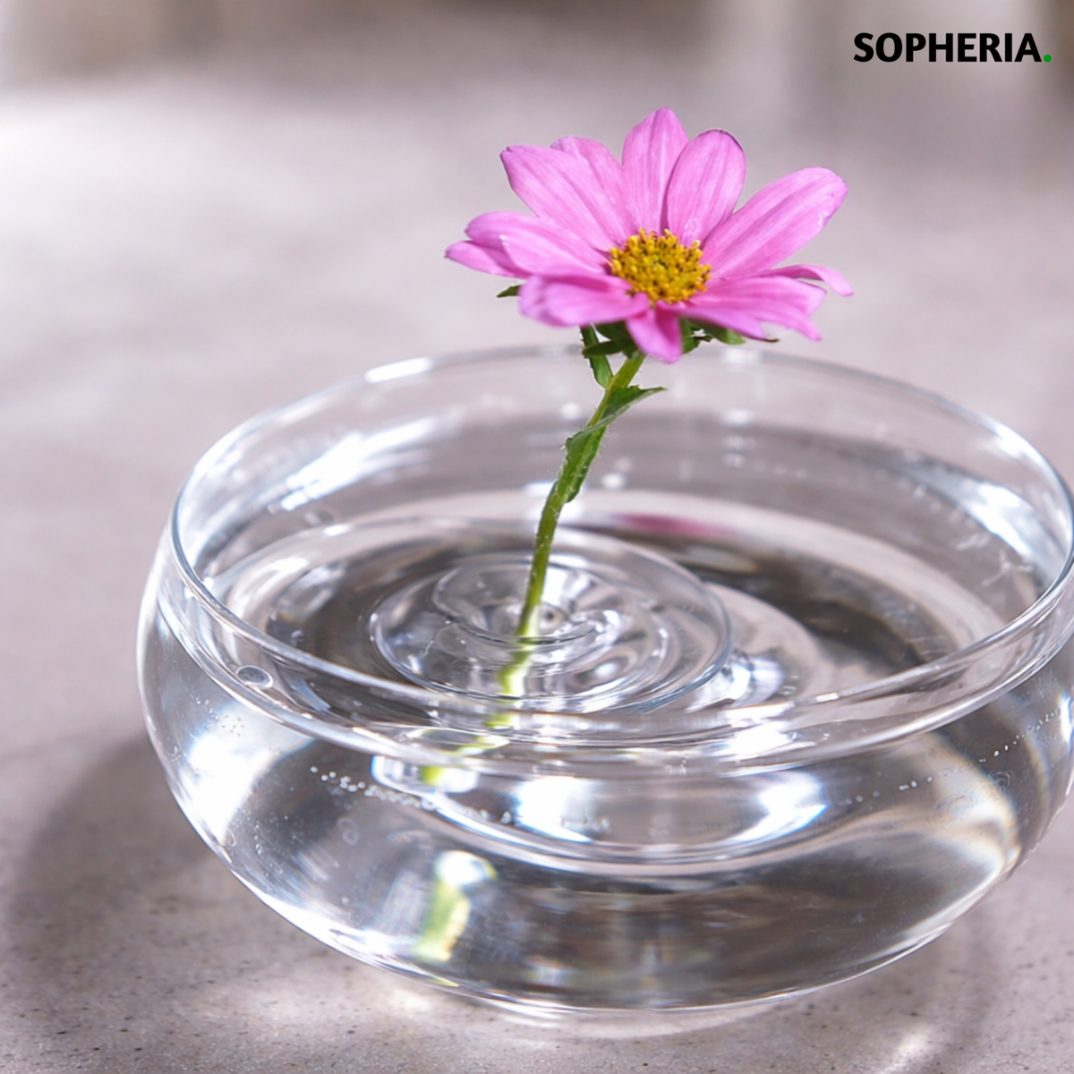 5+5 GRATIS | Hält Blumen sofort perfekt aufrecht und eindrucksvoll – UrbanBliss