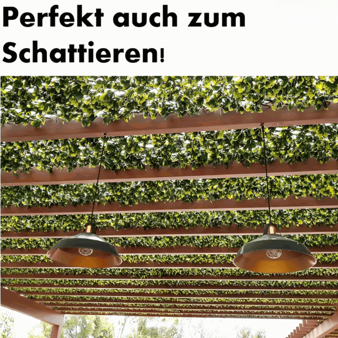 1 + 1 GRATIS | GreenHaven TEMPORÄR | Gardenscape – Privatsphäre in Ihrem Garten