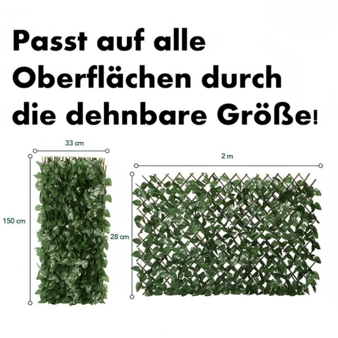 1 + 1 GRATIS | GreenHaven TEMPORÄR | Gardenscape – Privatsphäre in Ihrem Garten