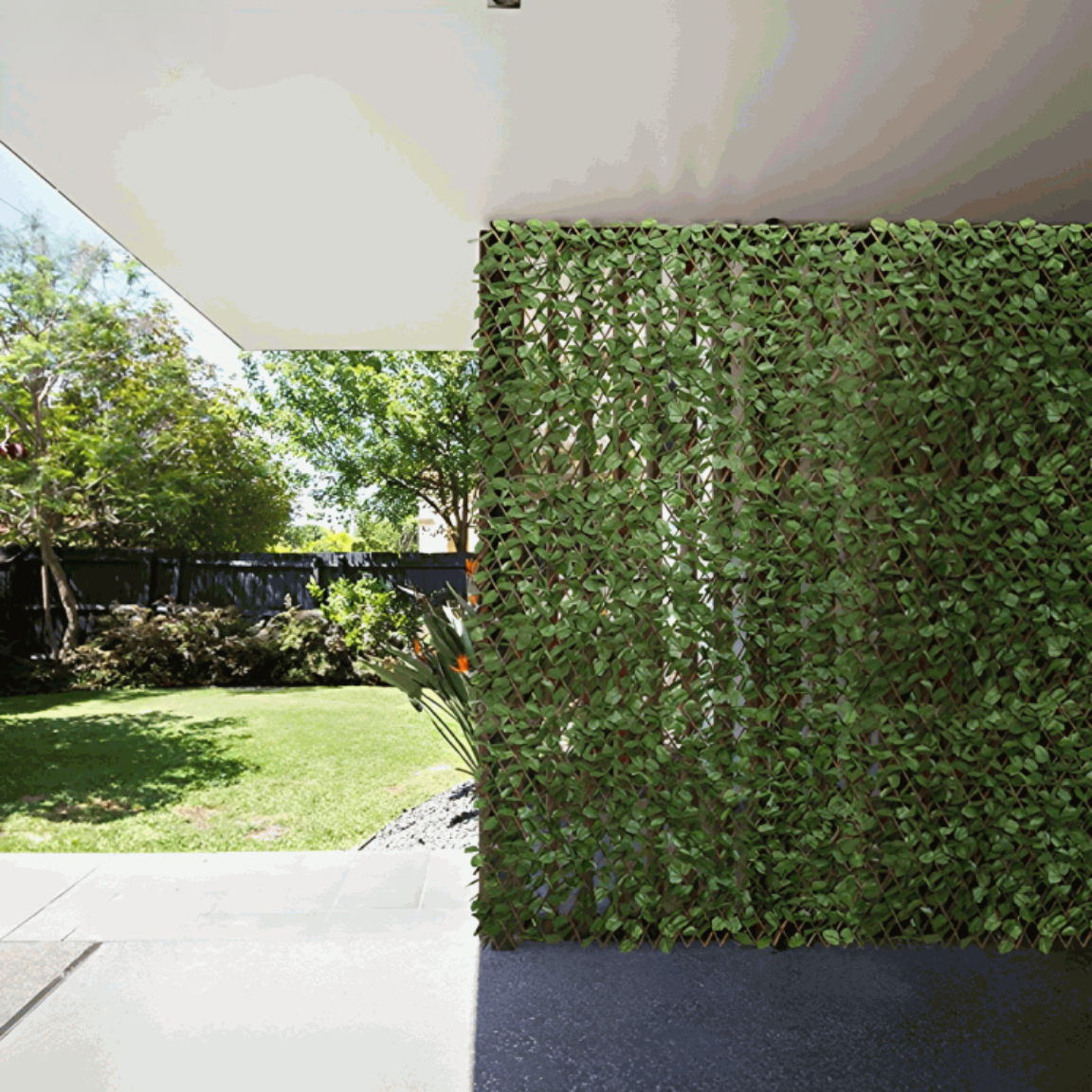 1 + 1 GRATIS | GreenHaven TEMPORÄR | Gardenscape – Privatsphäre in Ihrem Garten