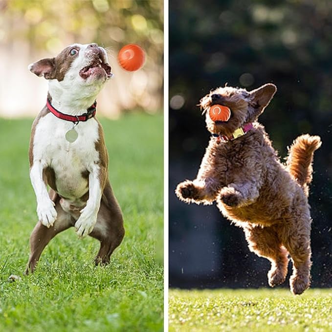 BellBall™ / Interaktiver Hunde-Spaßball - Sopheria