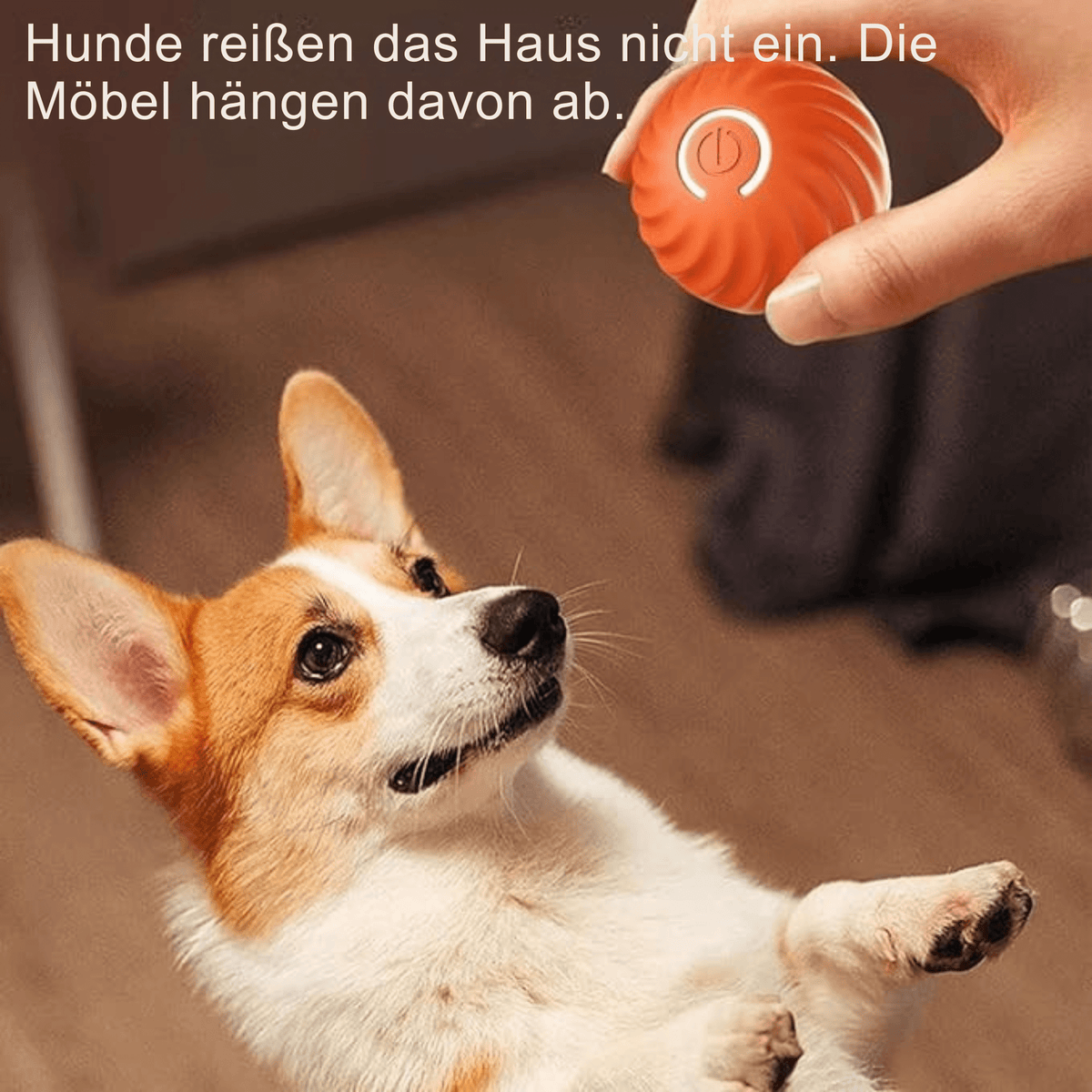BellBall™ / Interaktiver Hunde-Spaßball - Sopheria