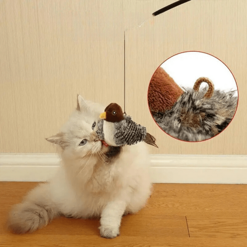 FlatterFreund™ / Regen Sie den natürlichen Instinkt Ihrer Katze an - Sopheria