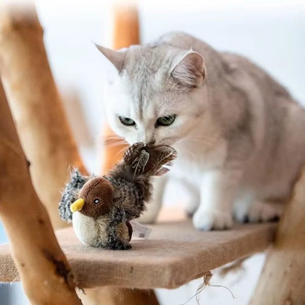 FlatterFreund™ / Regen Sie den natürlichen Instinkt Ihrer Katze an - Sopheria