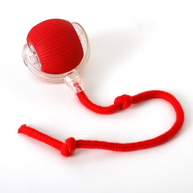 Glowpaws - LED Spielball für aktive Hunde & Katzen - Sopheria