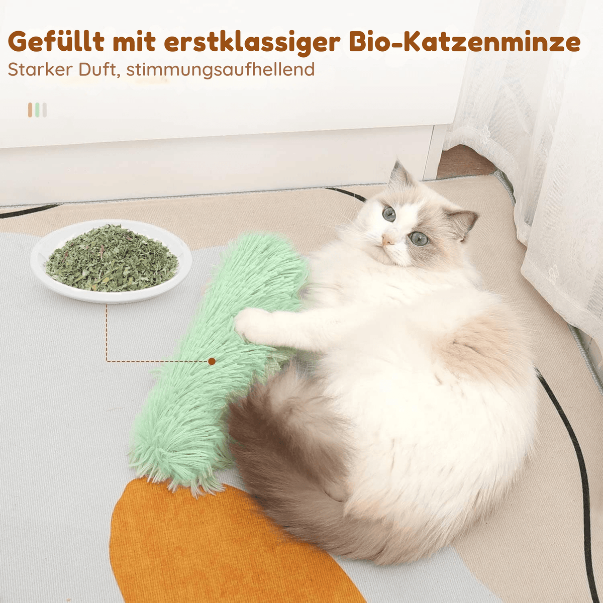 KratzKick™ / Weckt spielerische Neugier - Sopheria