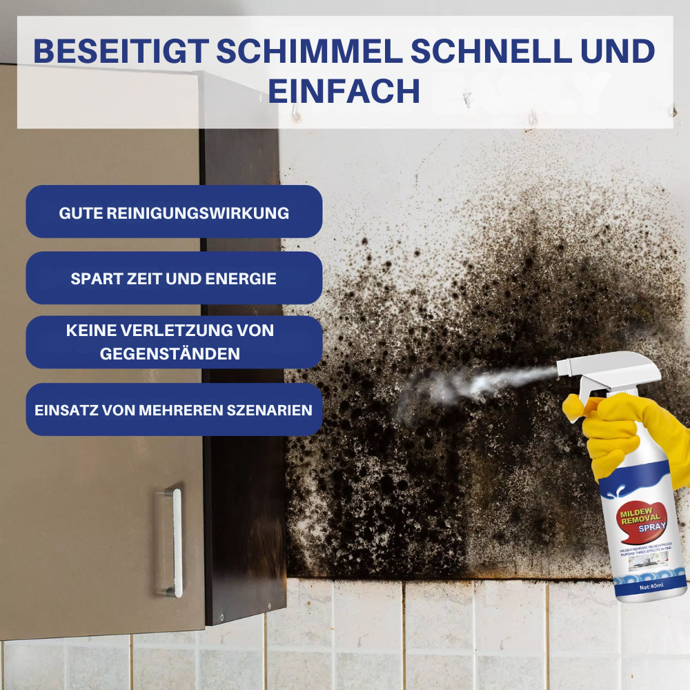 NoMold™ | Schimmelpilz-Entfernungsspray
