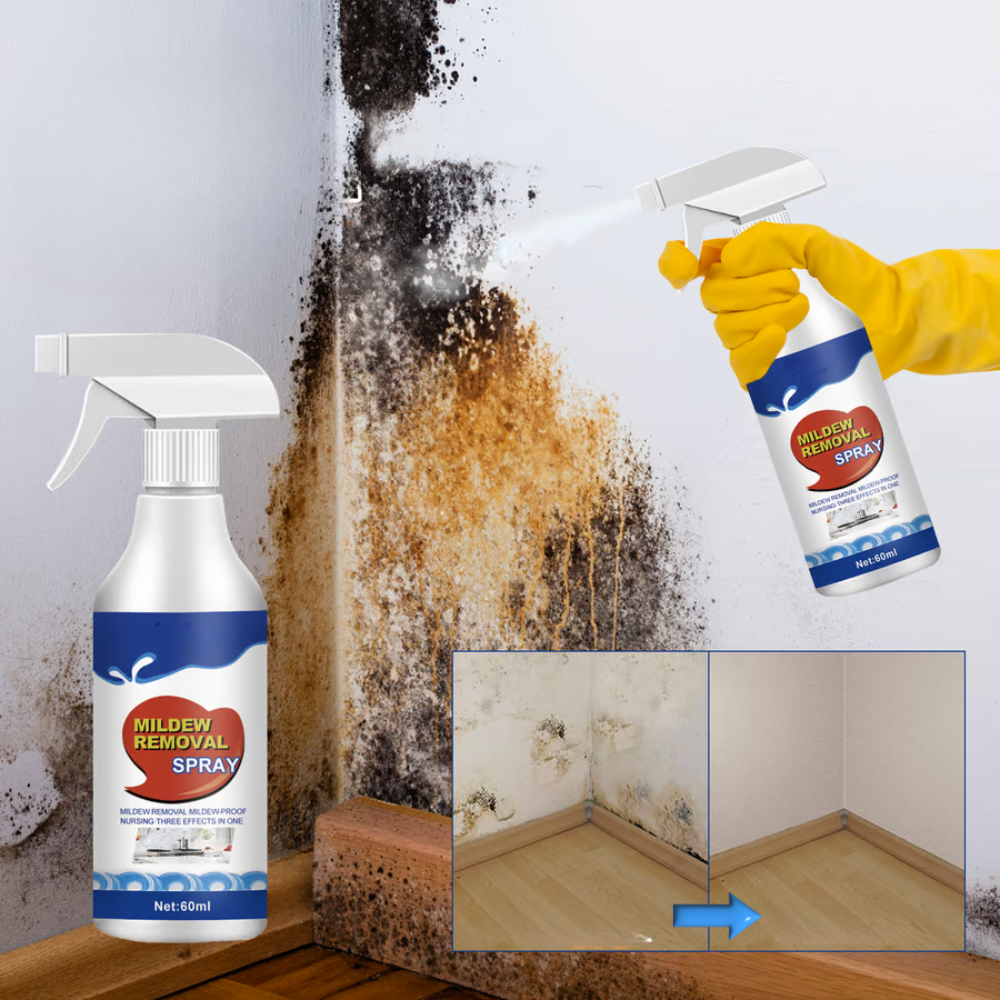 NoMold™ | Schimmelpilz-Entfernungsspray
