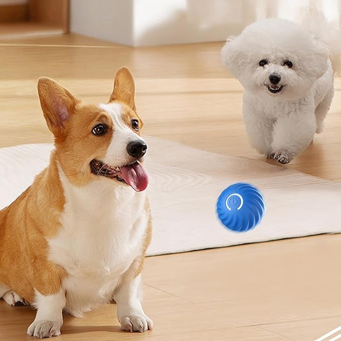 PfotenOrbit – Interaktiver Bewegungsball für Hunde - Sopheria