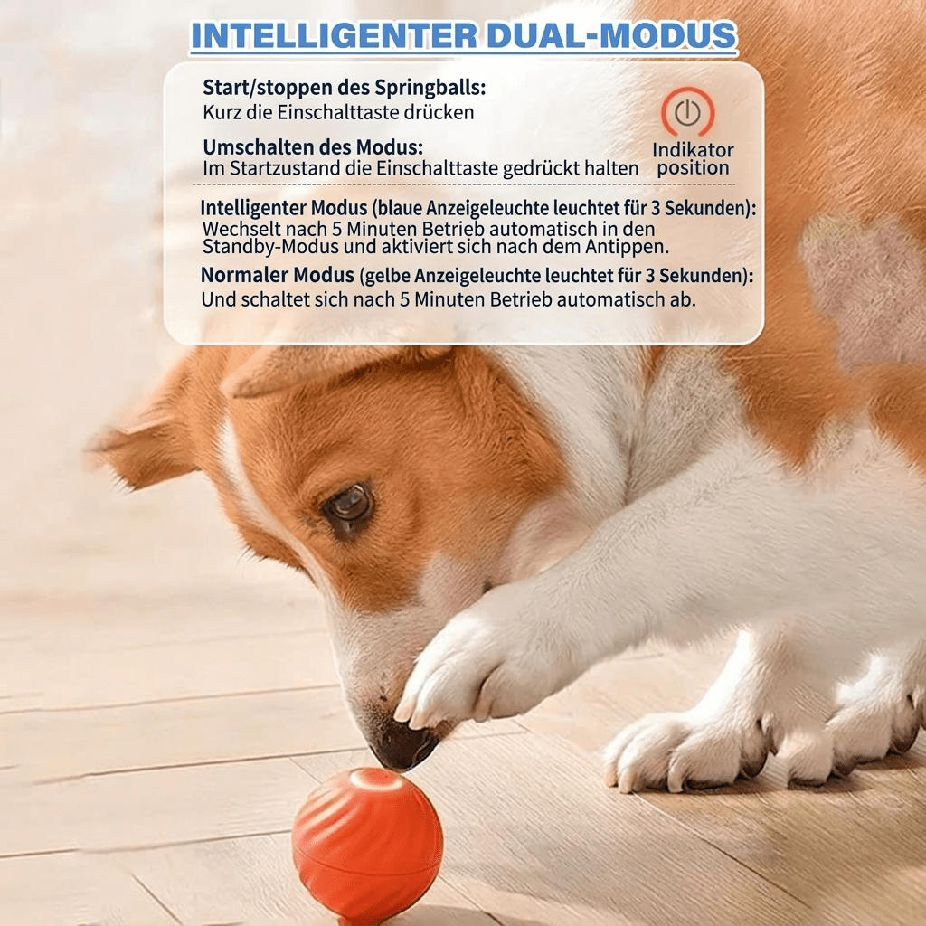 PfotenOrbit – Interaktiver Bewegungsball für Hunde - Sopheria