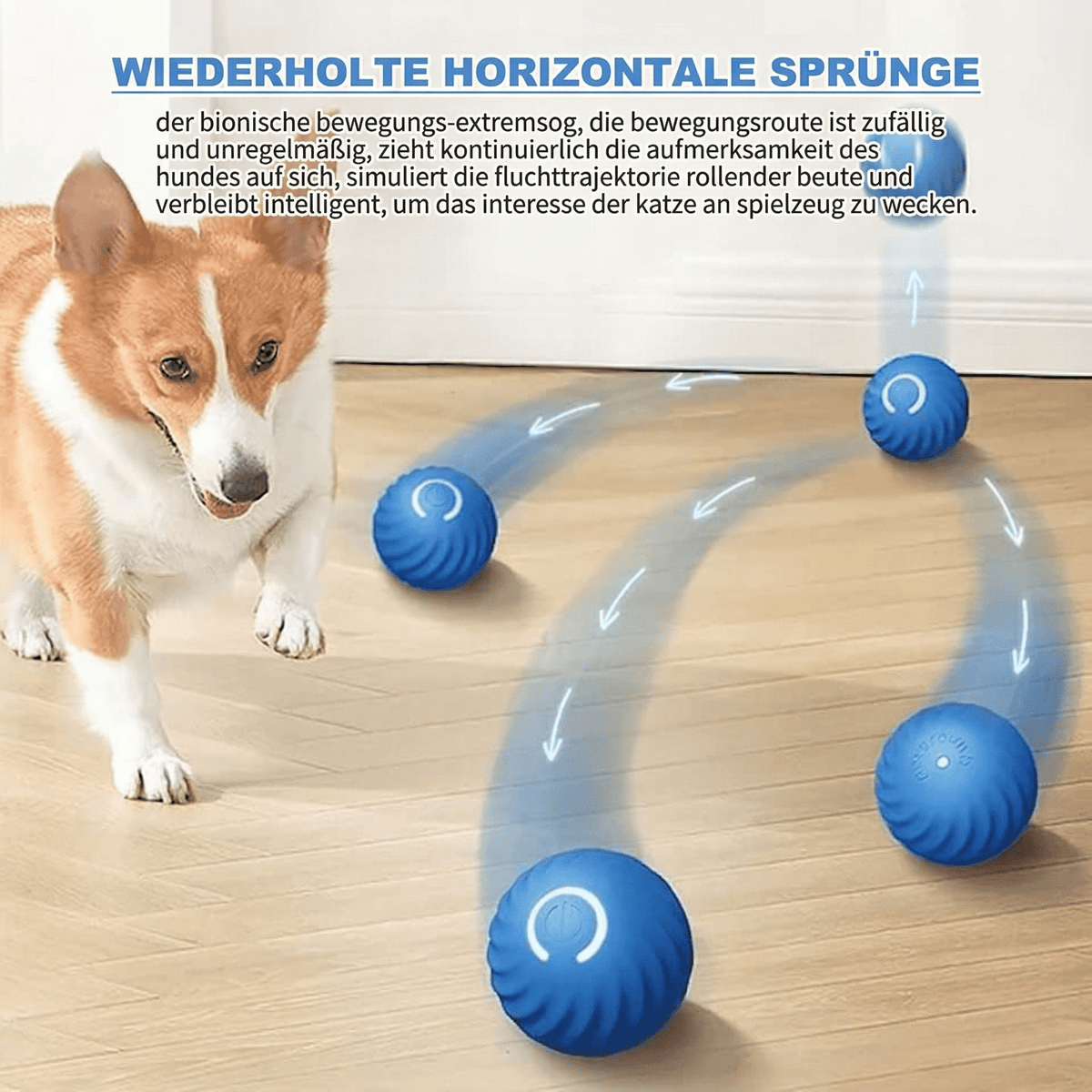 PfotenOrbit – Interaktiver Bewegungsball für Hunde - Sopheria