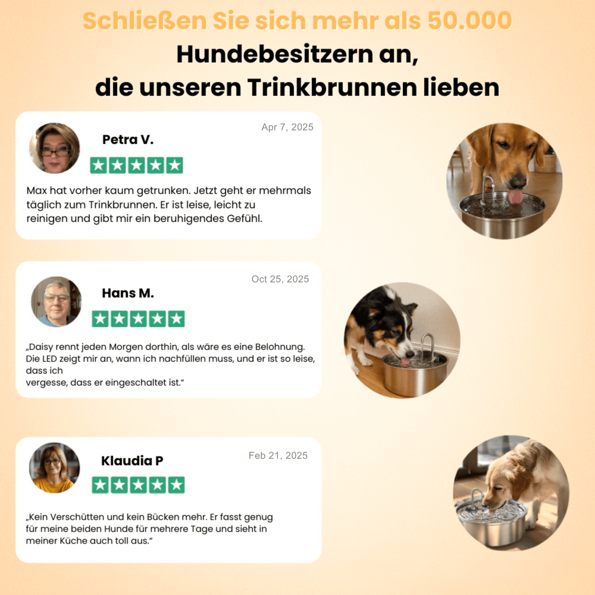 PfotenPlätscher™ / Der antibakterielle Trinkbrunnen mit Filtration - Sopheria