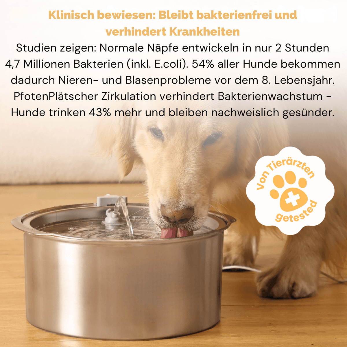 PfotenPlätscher™ / Der antibakterielle Trinkbrunnen mit Filtration - Sopheria
