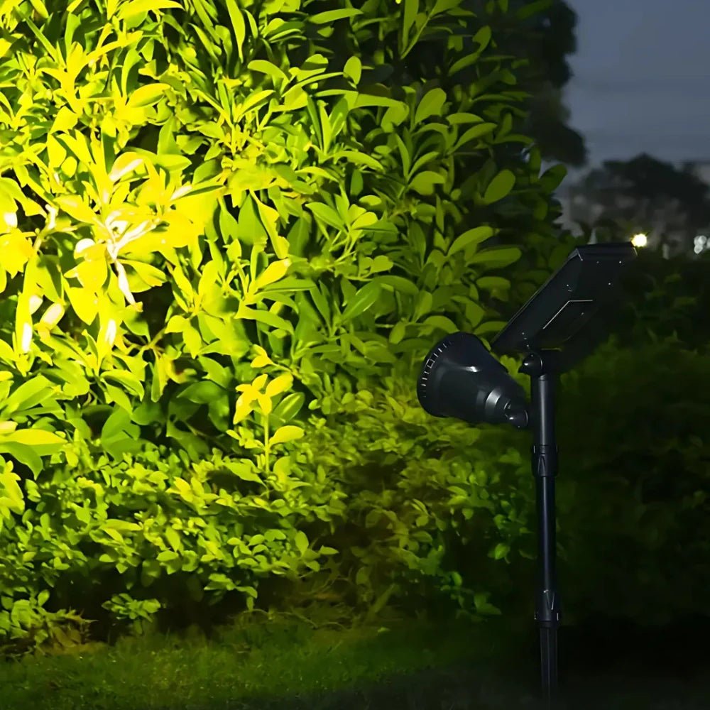 SolaraLux / Solarbetriebener Gartenstrahler - Sopheria