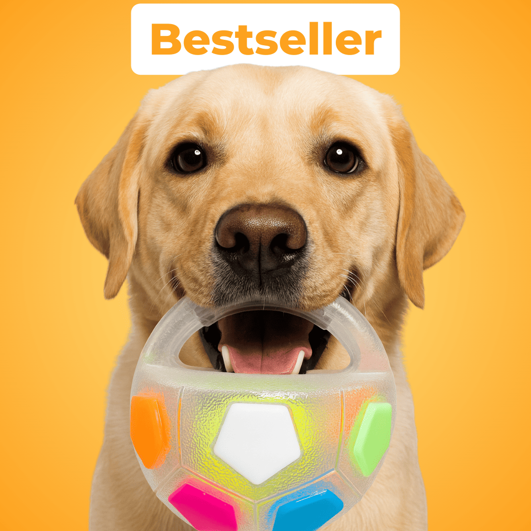 StressSchnapper™ / Anti-Stress-Ball Für Haustiere - Sopheria