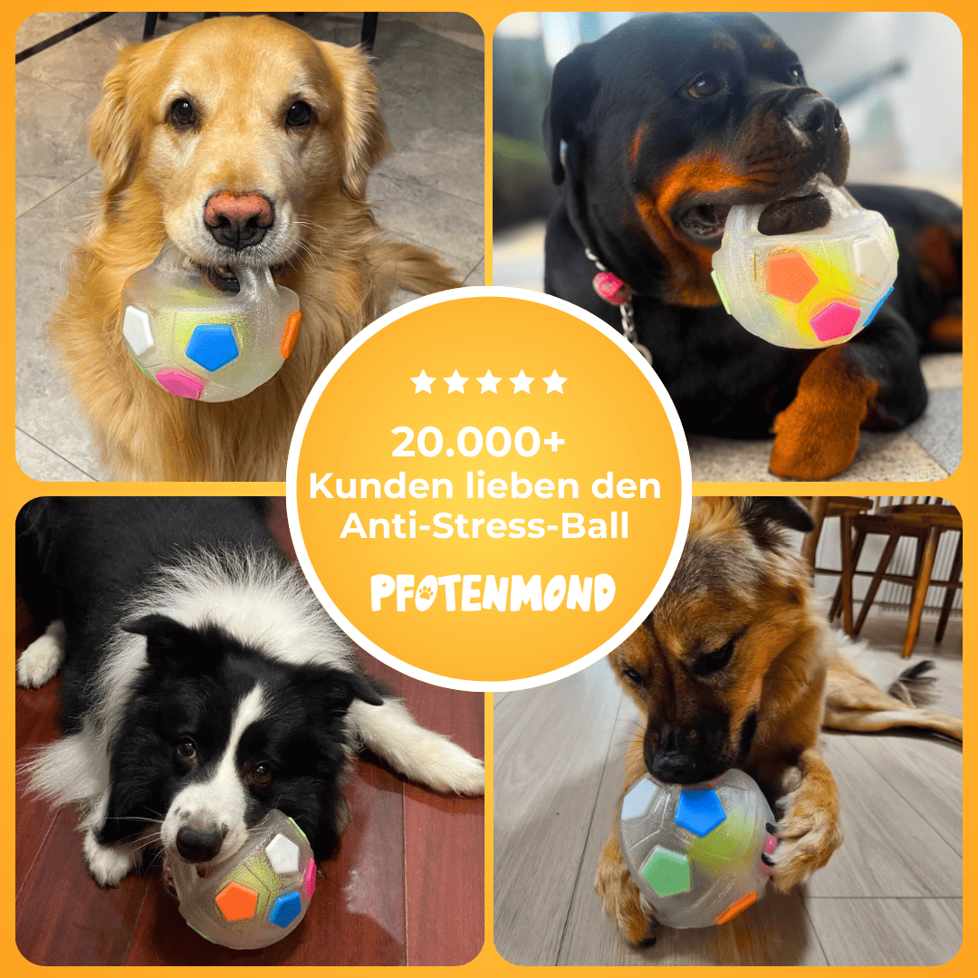 StressSchnapper™ / Anti-Stress-Ball Für Haustiere - Sopheria