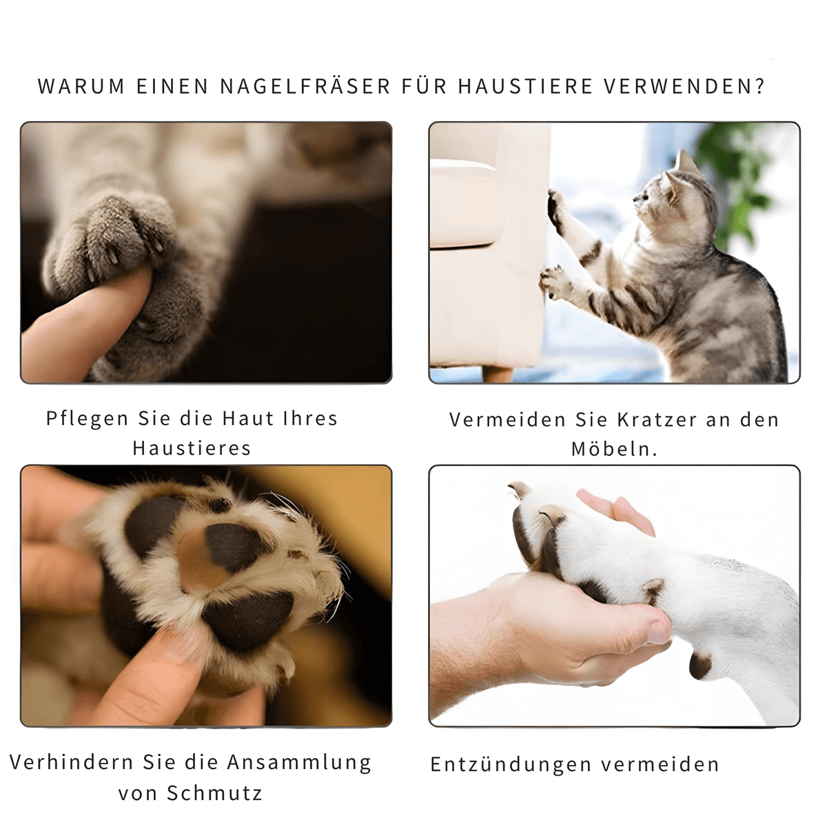TierTrim™ / Stressfreie Nagelfeile für Ihr Haustier - Sopheria