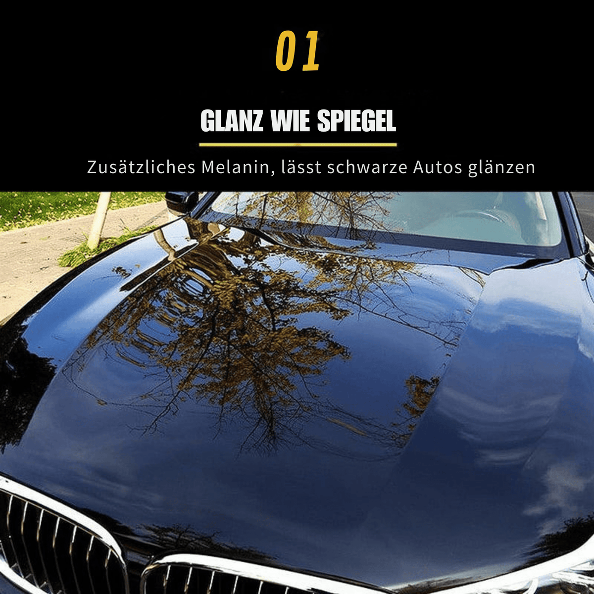 TitanPolish™ / Titan-Keramik-Wachspolitur mit Mehrfachschutz - Sopheria