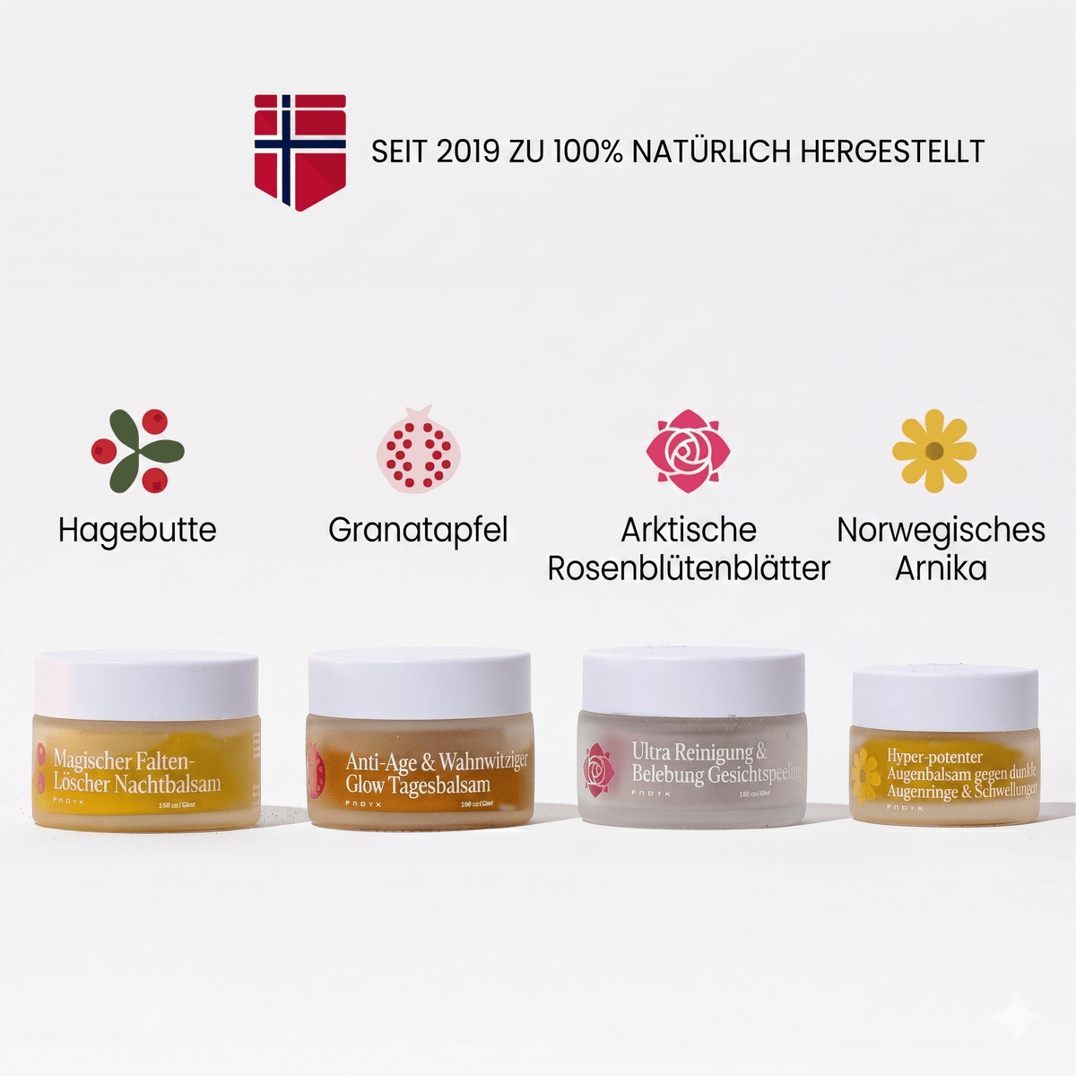 Wildblum / Wasserfreies Anti-Aging System mit arktischer Hagebutte & Sanddorn - Sopheria
