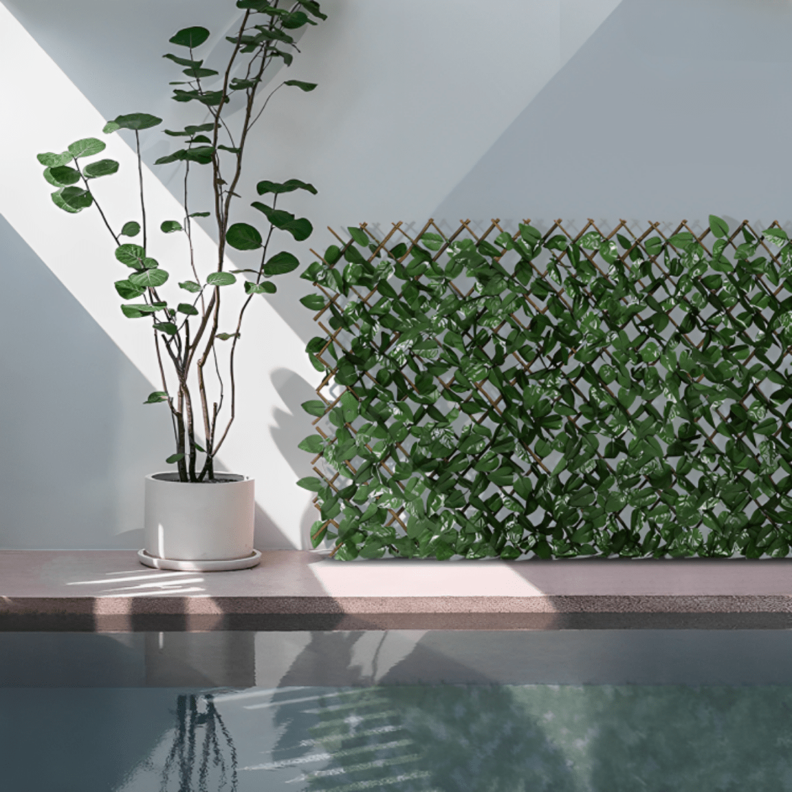 1 + 1 GRATIS | GreenHaven TEMPORÄR | Gardenscape – Privatsphäre in Ihrem Garten - Sopheria
