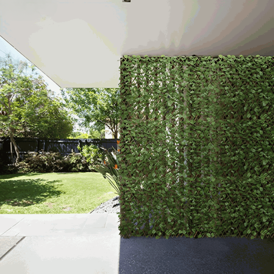 1 + 1 GRATIS | GreenHaven TEMPORÄR | Gardenscape – Privatsphäre in Ihrem Garten - Sopheria