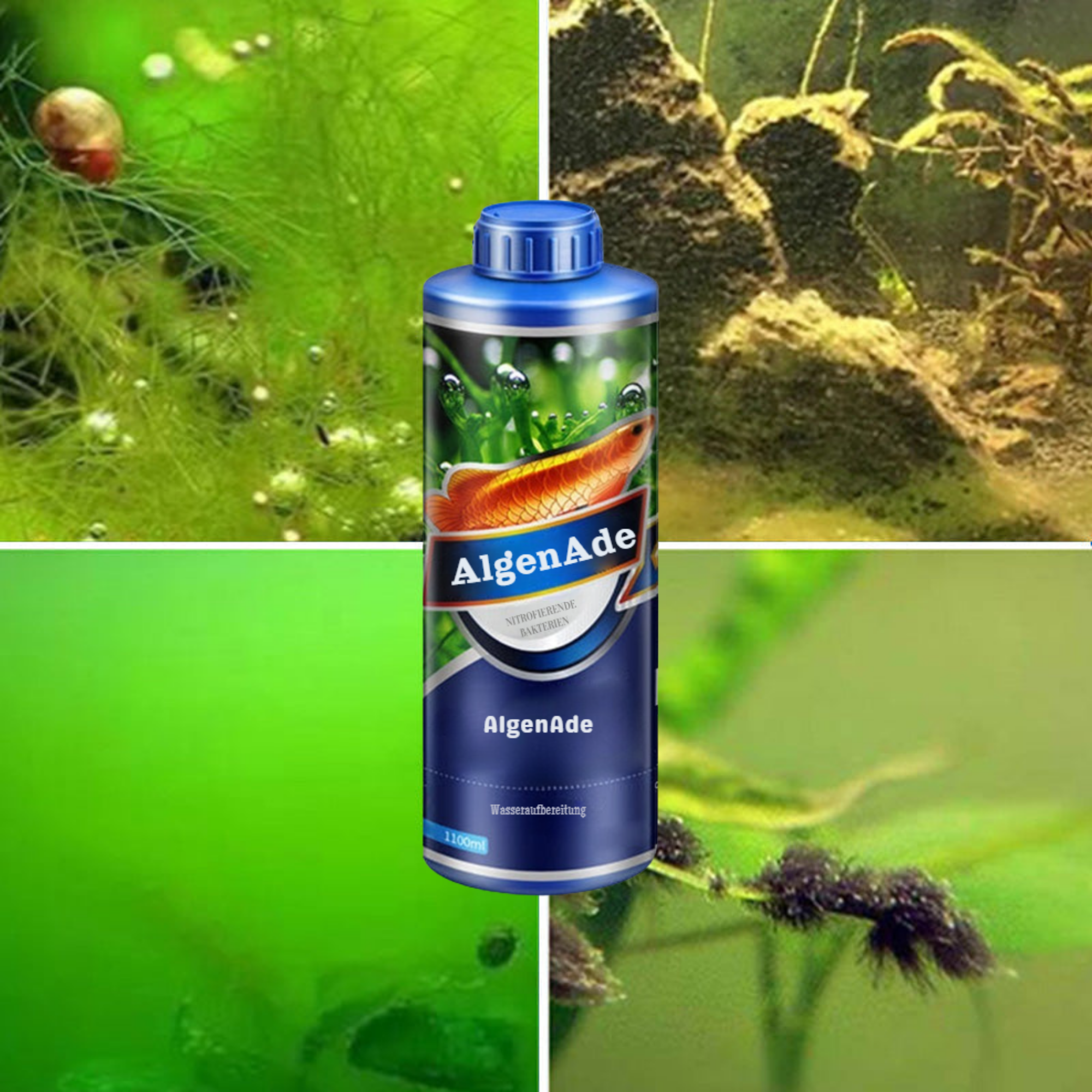 AlgenAde™ / Kristallklares Aquariumwasser In Nur 3 Tagen (1+1 GRATIS)