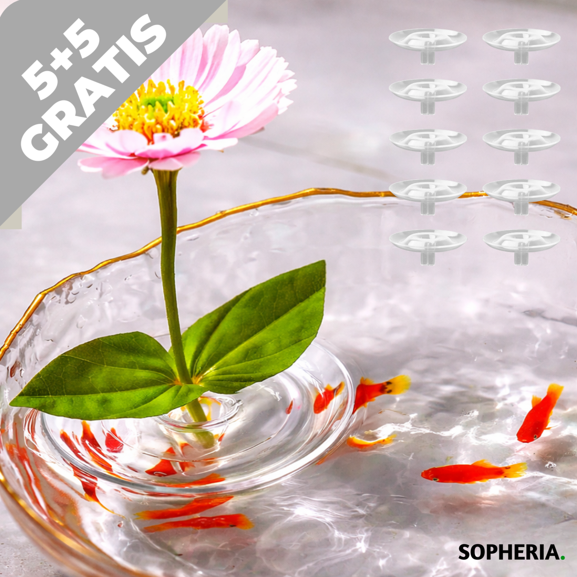 5+5 GRATIS | Hält Blumen sofort perfekt aufrecht und eindrucksvoll – UrbanBliss