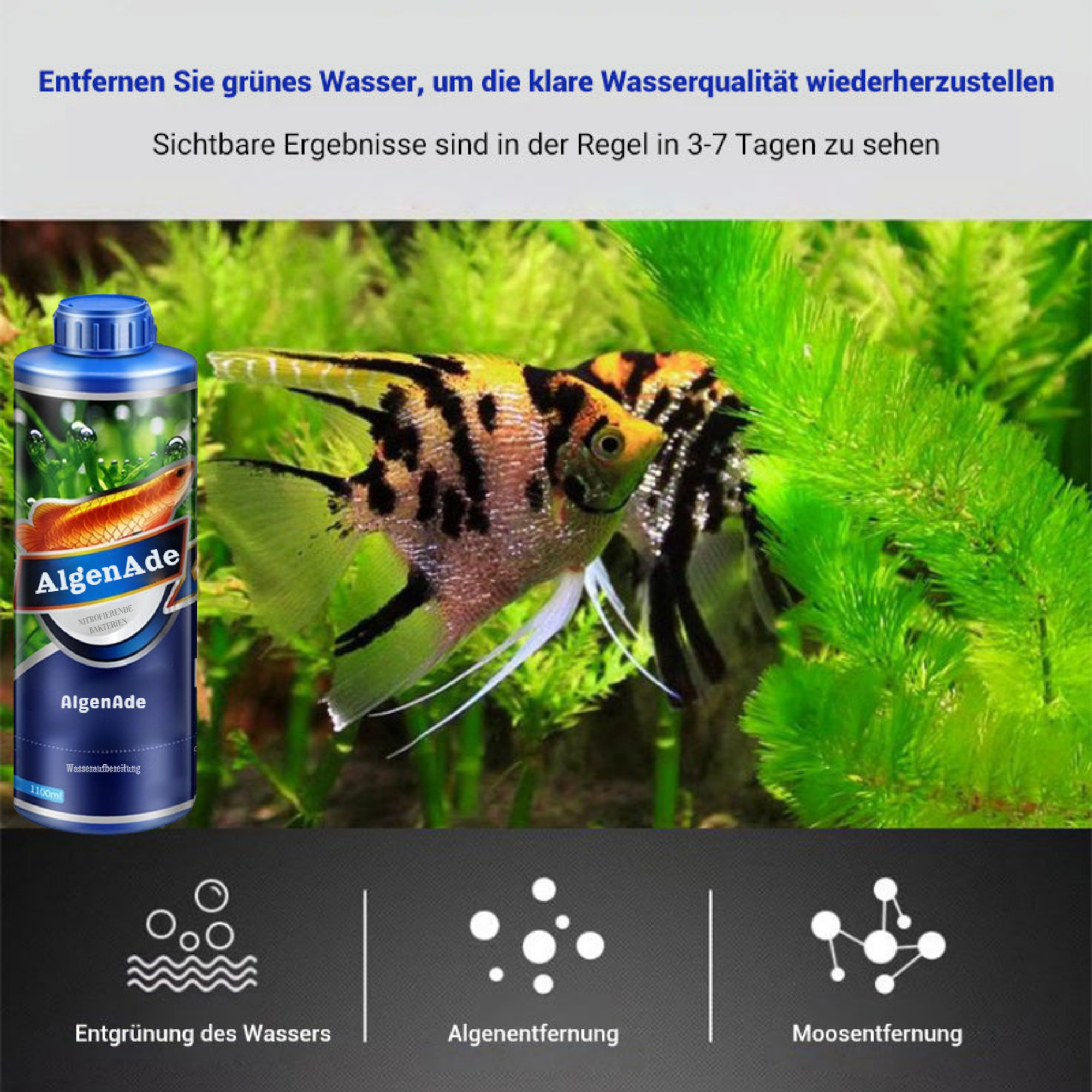 AlgenAde™ / Kristallklares Aquariumwasser In Nur 3 Tagen (1+1 GRATIS)