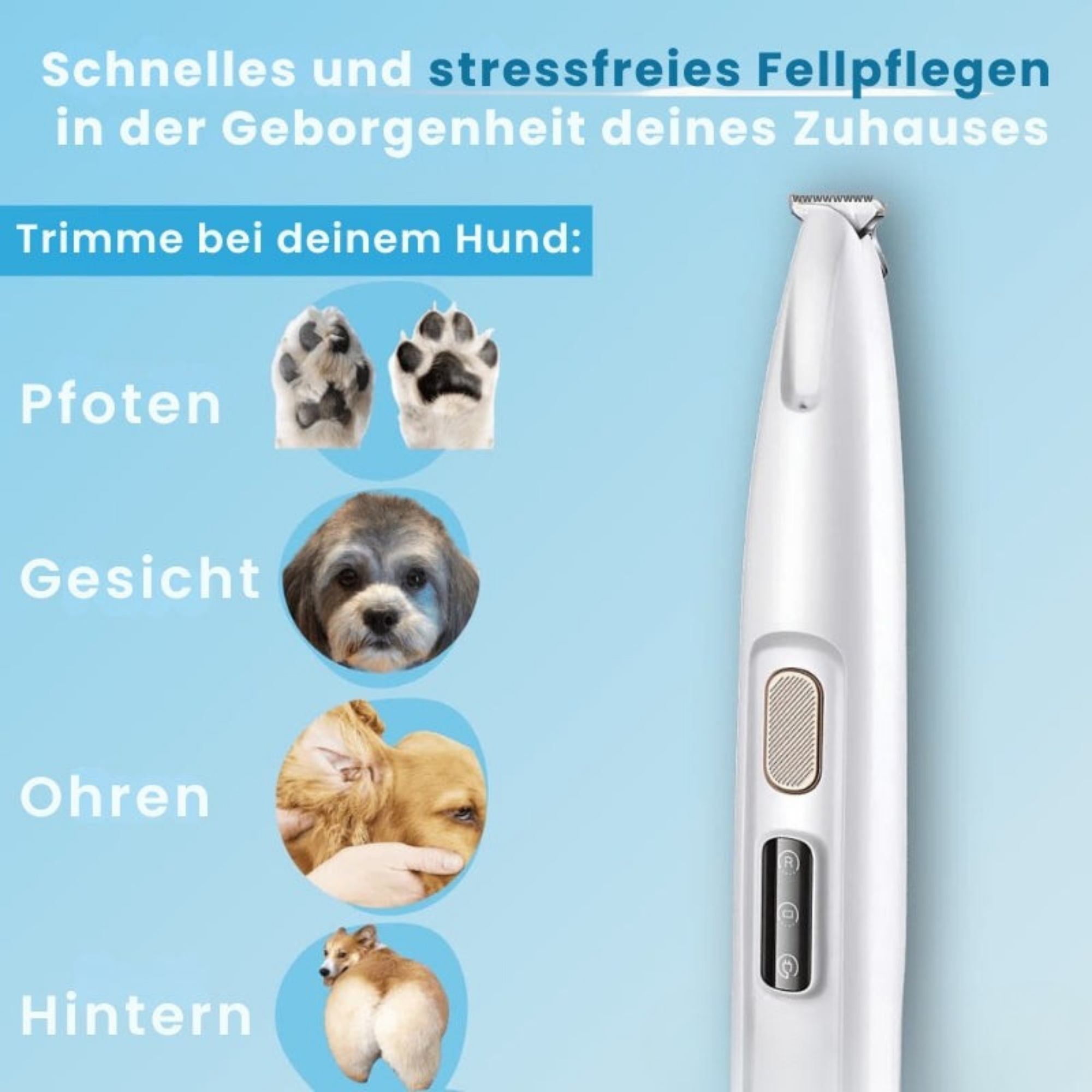 PfotenPflege™ / Schmerzfreie Pfotenpflege in Sekundenschnelle