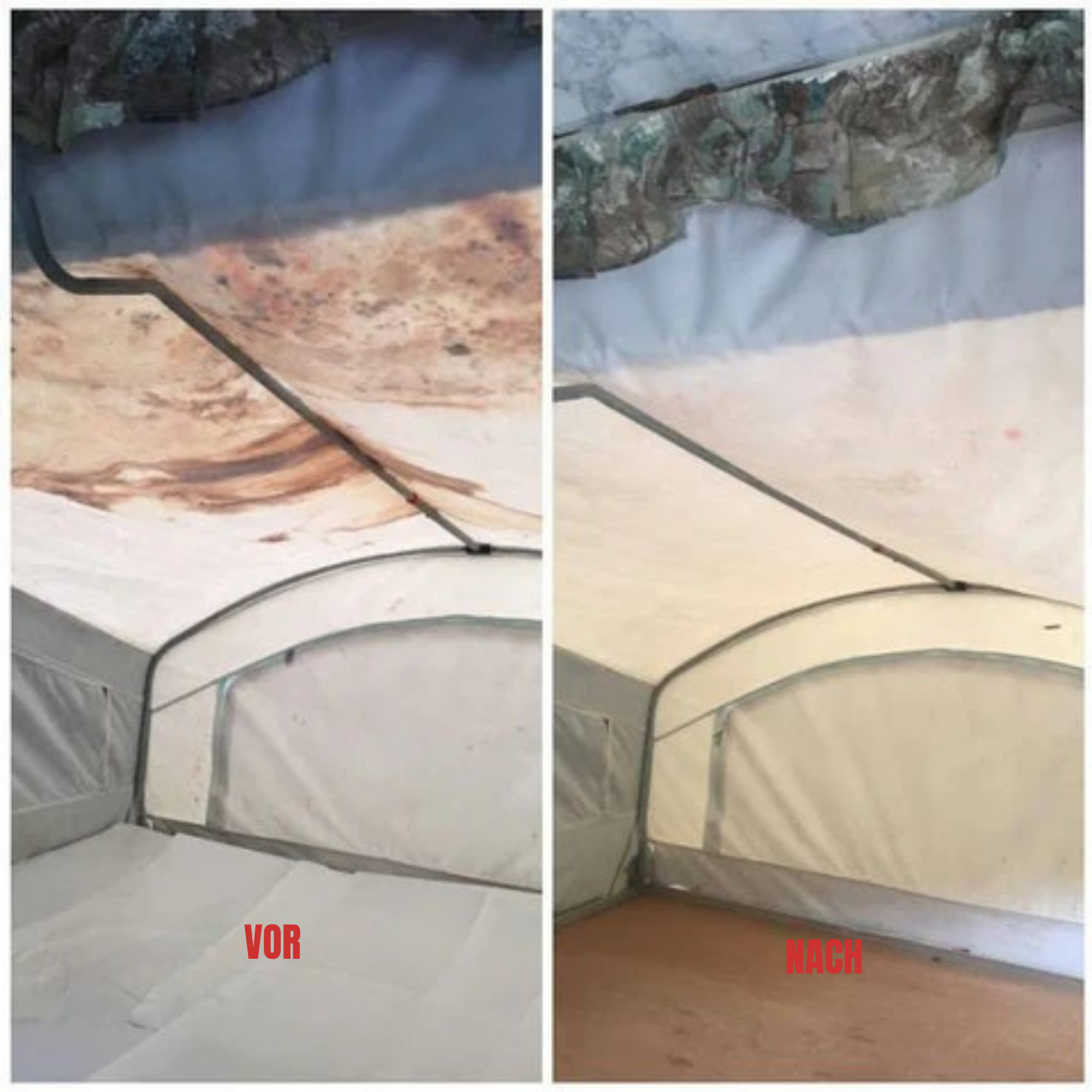 SchimmShield™ / Leistungsstarker Schimmelreinigungsschaum