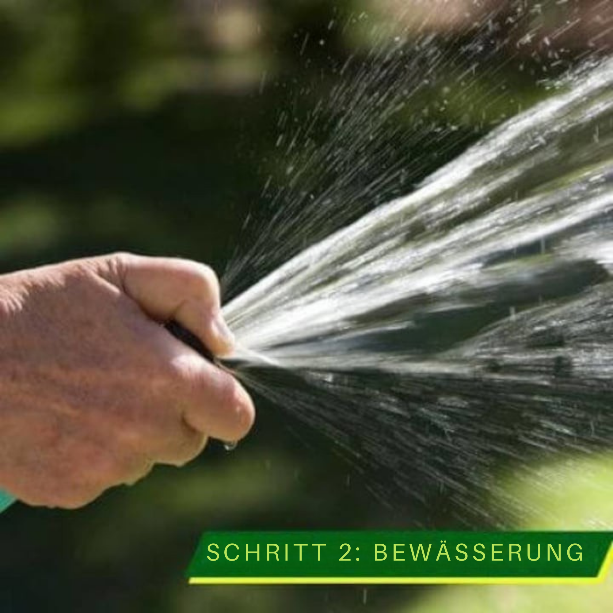 GrünGlanz™ / Einfacher, Grüner Rasen