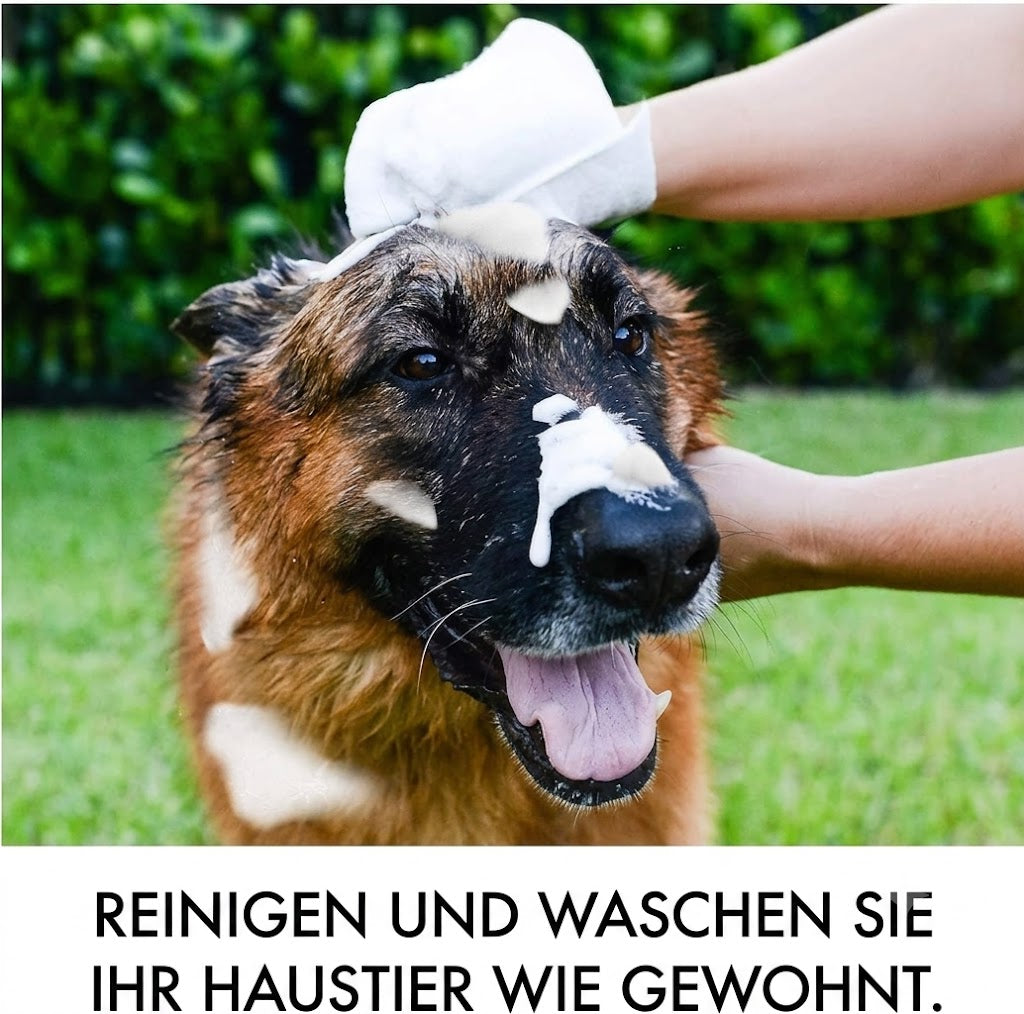 PfotenFrisch – Hundebadehandschuhe ohne Ausspülen