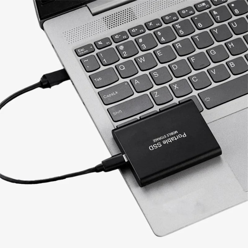 DataVault Externe SSD ultraschnell USB Plug and Play
