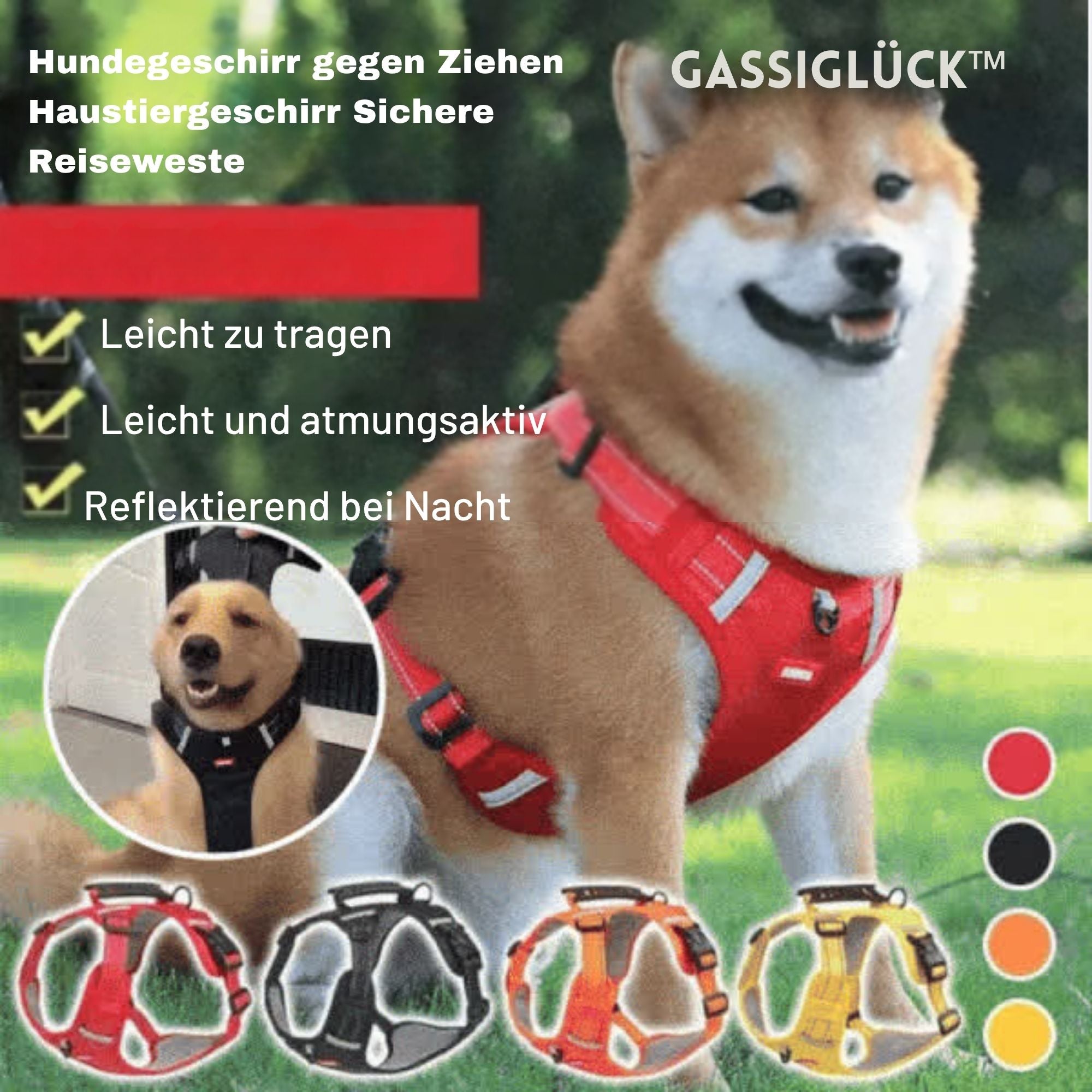 GassiGlück™ / Freiheit Und Komfort Für Ihren Hund!