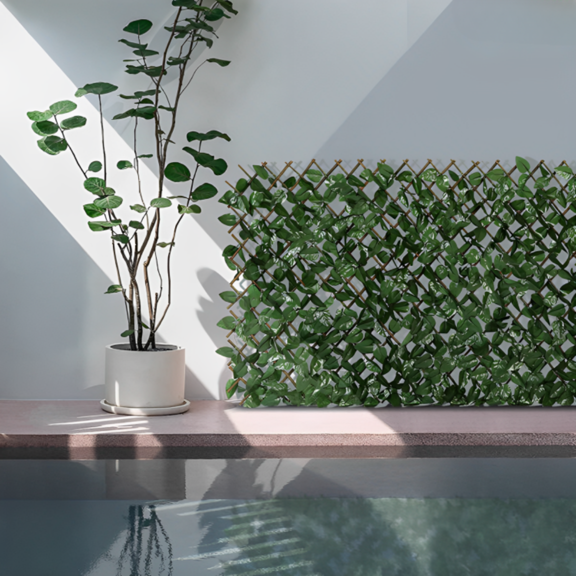1 + 1 GRATIS | GreenHaven TEMPORÄR | Gardenscape – Privatsphäre in Ihrem Garten