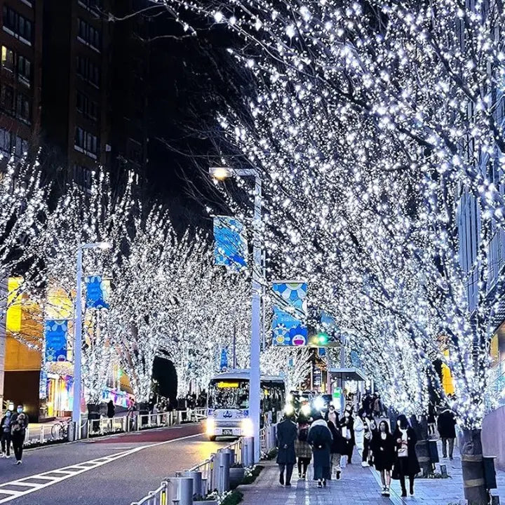 LichterLux™ /  Funkelnde & sichere Festtagsbeleuchtung