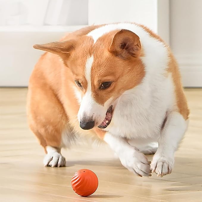 BellBall™ / Interaktiver Hunde-Spaßball - Sopheria