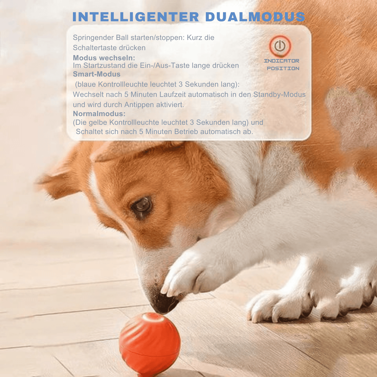 BellBall™ / Interaktiver Hunde-Spaßball - Sopheria