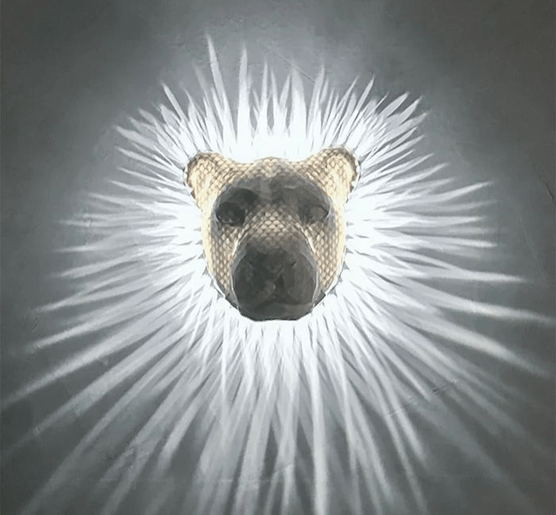 NachtNatur™ / 3D Tierdesign mit warmem Lichtschein