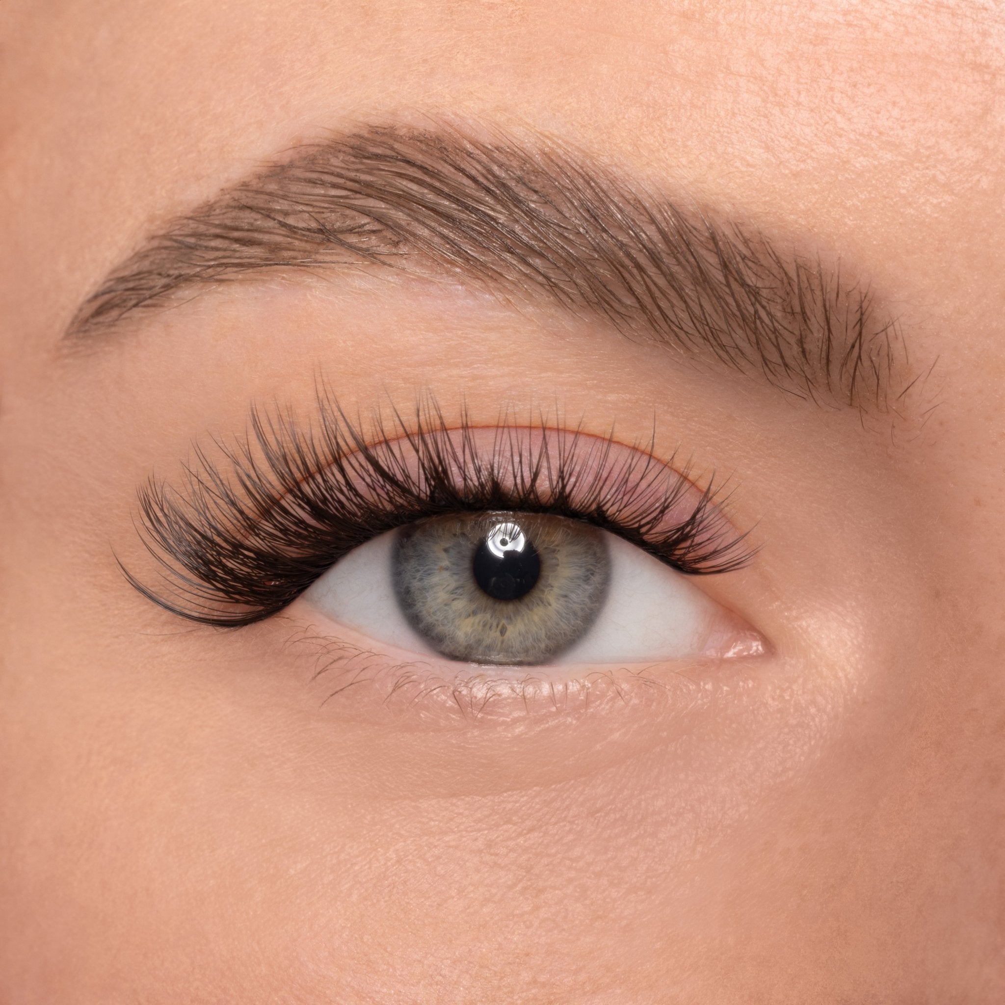 Cylara - Komplettes Wimpern Set für Anfänger (5–15mm) - Sopheria