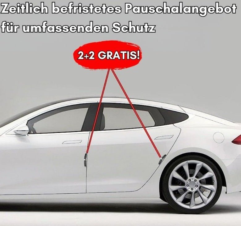 DellenSchutz™ Delle Autoschutzschild (2+2 GRATIS) - Sopheria