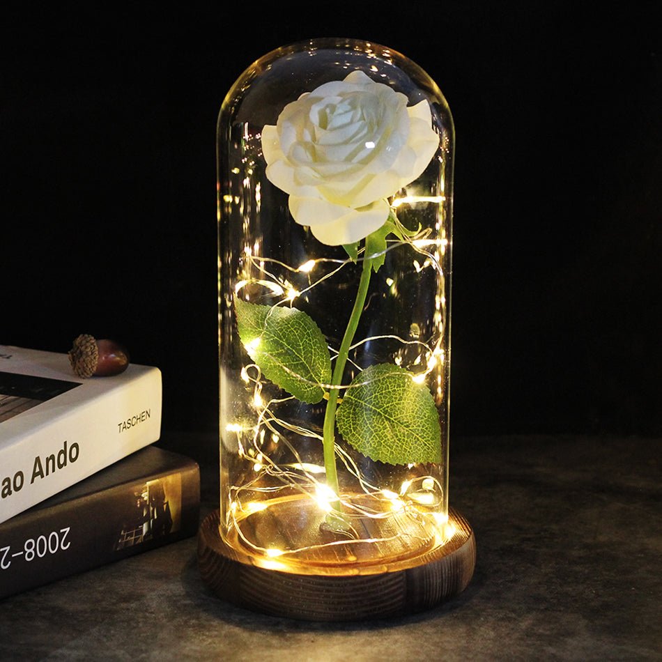 Die ewige Rose - ein Geschenk, das immer leuchtet - Weiße Rose - Sopheria