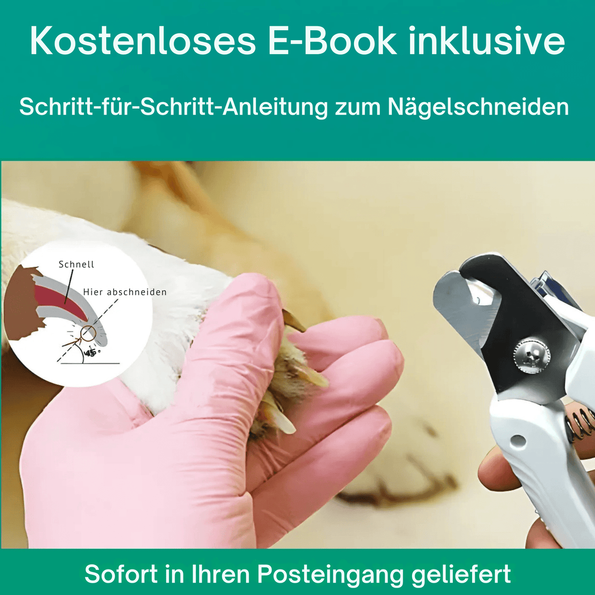 FellFeile™ / Angstfreies Nägelschneiden - Sopheria